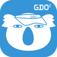 GDOスコア